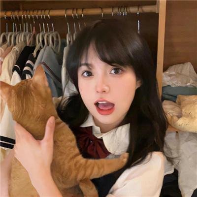 春满兰宫